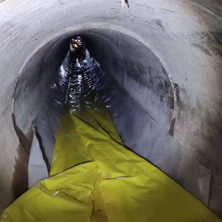 嘉黎管道光固化修复